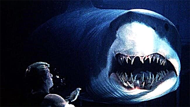 Топ 10 найкращі фільми про акул