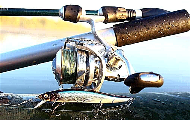 Top 10 Twitching Spinning Reels