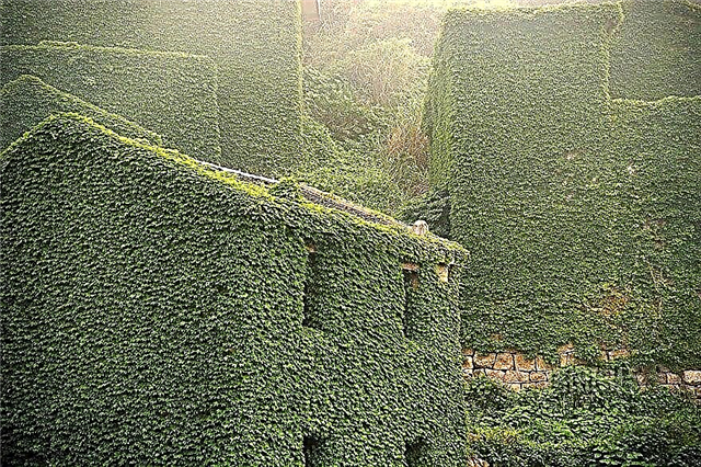 A fishing village in China, swallowed by nature