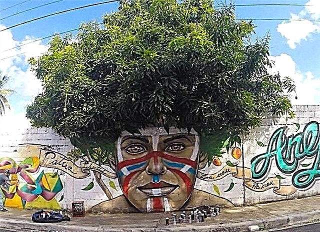 20 erstaunliche Momente, in denen Street Art im Einklang mit der Natur steht