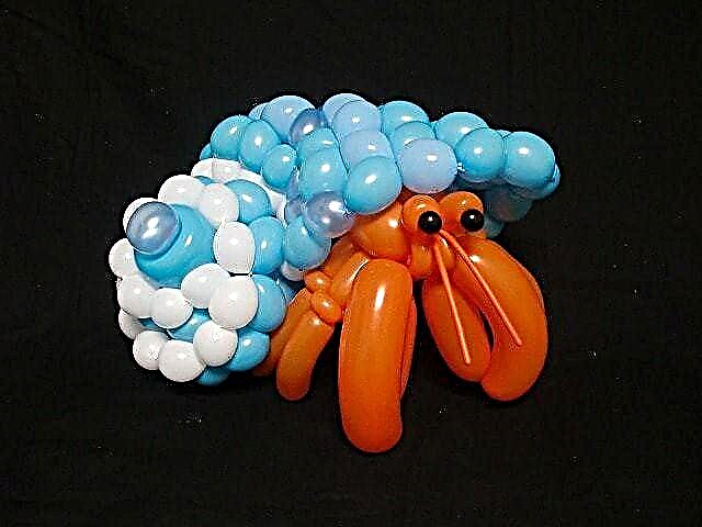 Animals from balls made by a Japanese artist (16 photos)